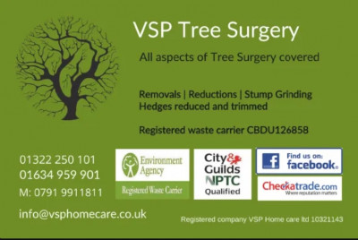 vsp-tree-surgery.jpg