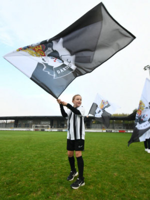 FLAG 32a by Taur E.jpg